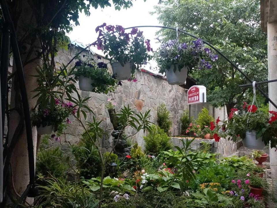Pancho Family Hotel Kranevo Luaran gambar
